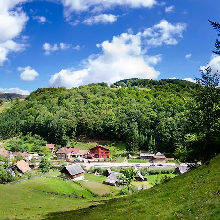 Pensiunea Maria 3* Kluż-Napoka