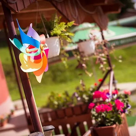 Maria Клуж-Напока