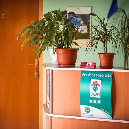 Pensjonat Pensiunea Maria Kluż-Napoka