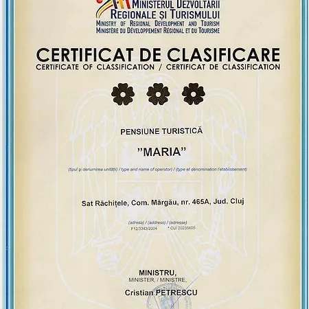 Maria Cluj-Napoca