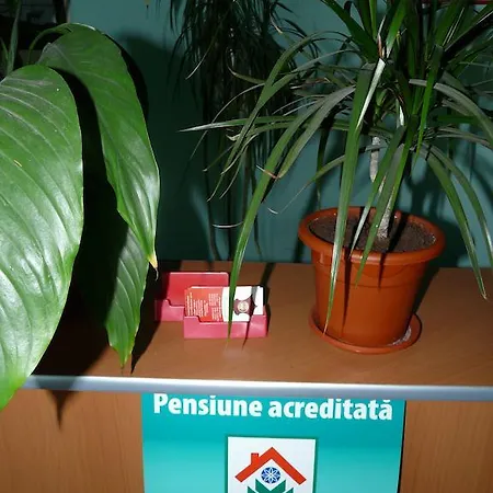 Pensjonat Pensiunea Maria