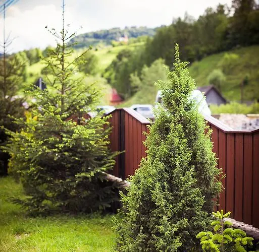 Maria 3* Cluj-Napoca